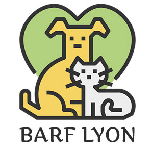 BARF-lyon